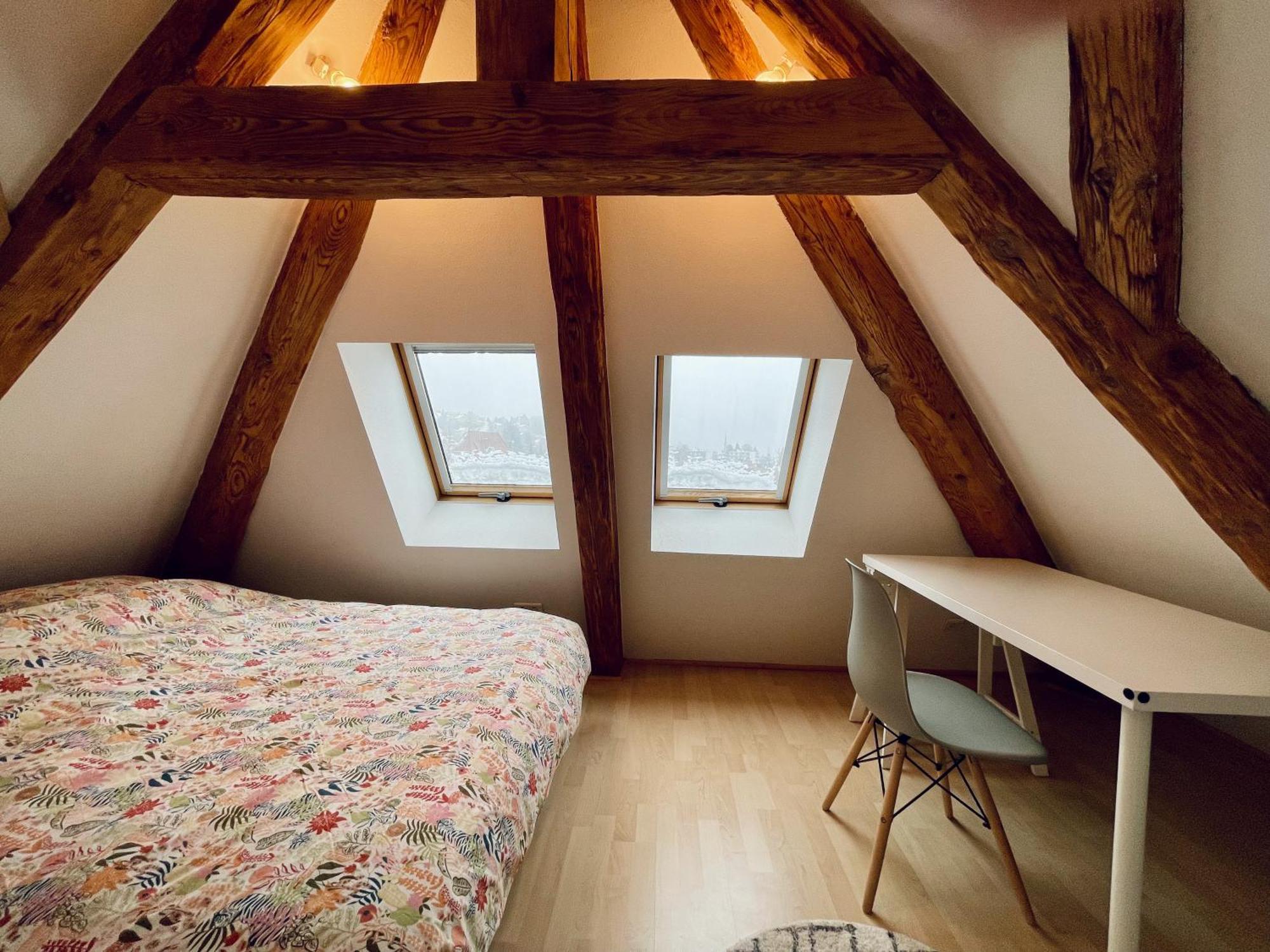Duplex + Parking Gratuit Facile Lejlighed Sainte-Suzanne  Eksteriør billede